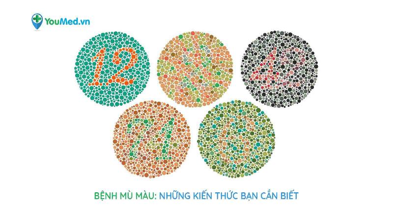Cac loai mau do pho bien va sac thai